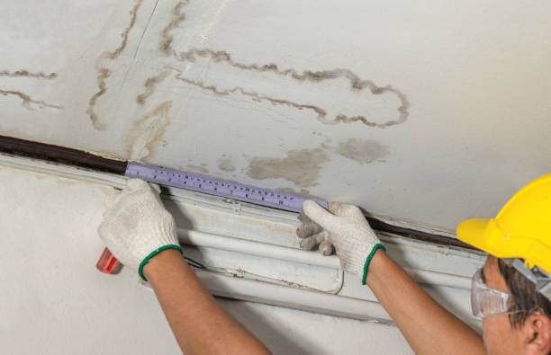 Reliable Mold Remediation contractor in Beaumont, TX by Water Damage Irwin